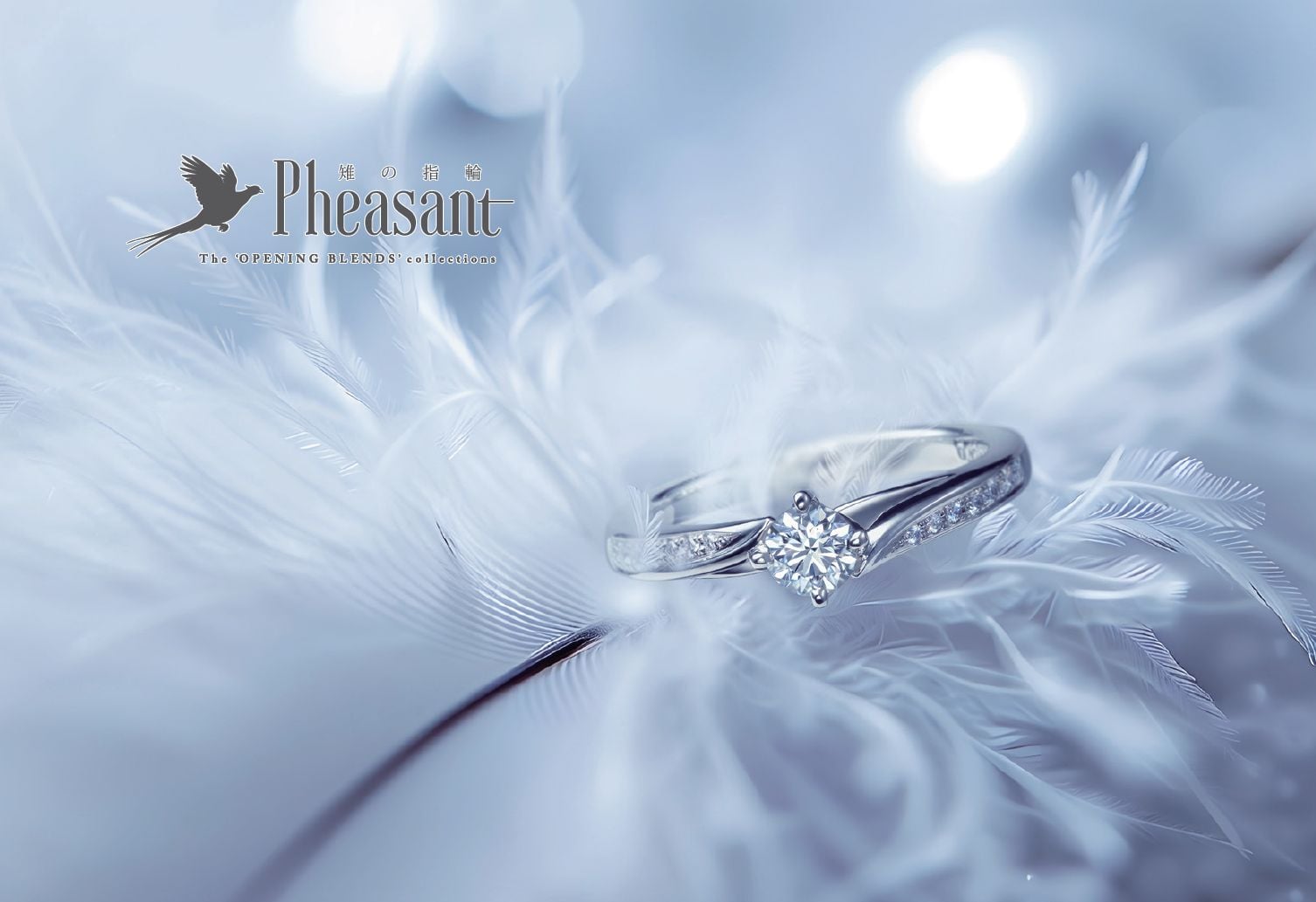 ‘PHEASANT’ new design bridal ring/『雉の指輪』新作ブライダルリング ‘PHEASANT’ new design bridal ring/『雉の指輪』新作ブライダルリング