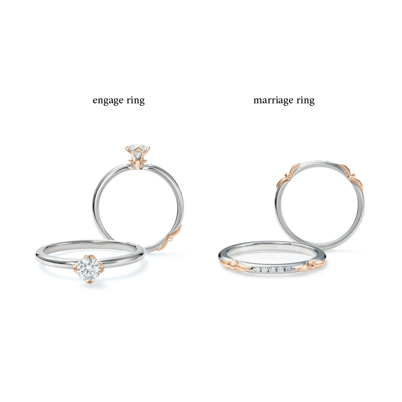 『新芽のゆびわ』セットリング-2 『新芽のゆびわ』セットリング-2