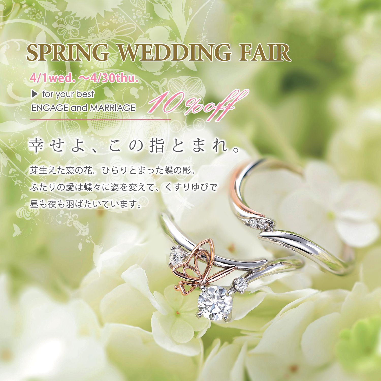 フェア情報 フェア情報